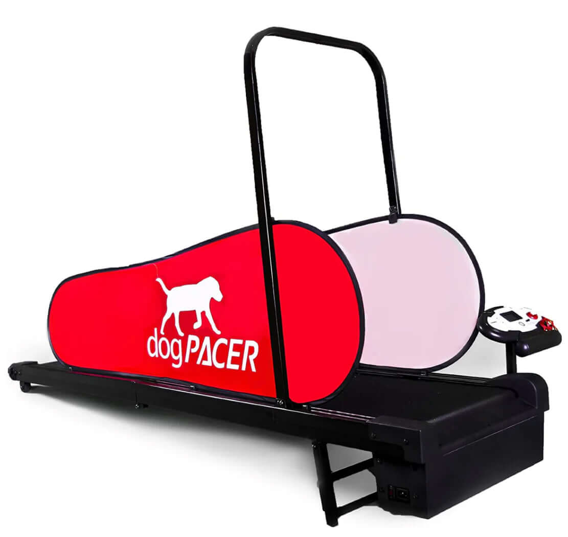 DogPacer LF 3.1 Folding Electric Dog Treadmill for small and large dogs for indoor use.  dog exercise equipment, best dog treadmill canine treadmill