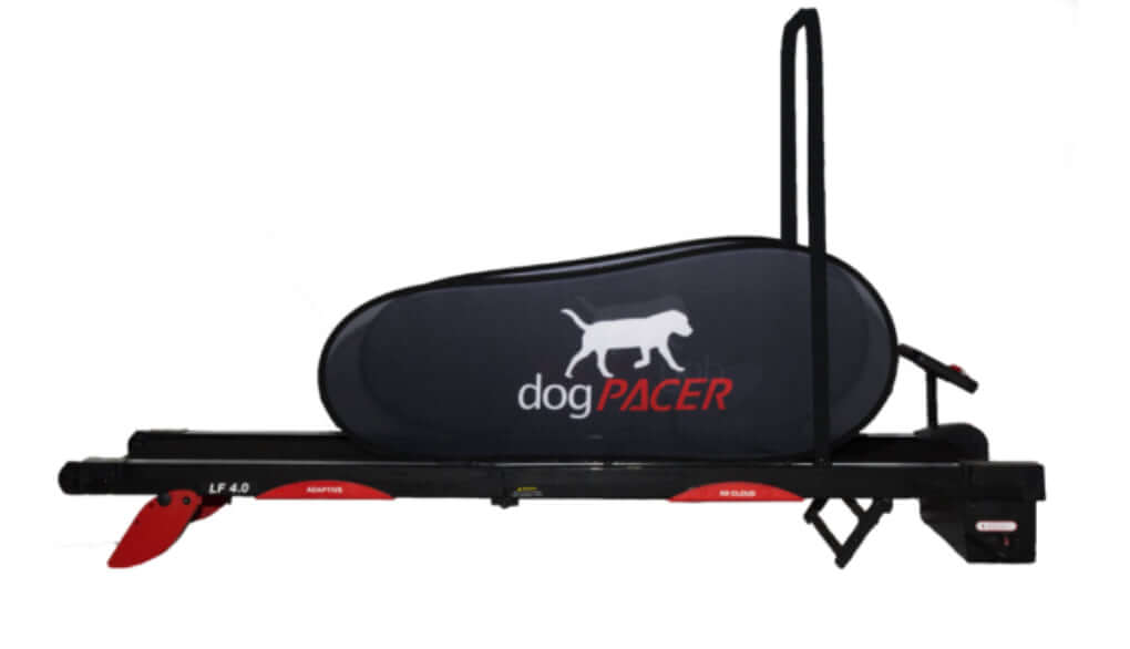 Dog pacer 4.0 blue tooth is an indoor dog treadmill, canine treadmill, pet treadmill, dog exercise equipment, best dog treadmill for small and large dogs, motorized dog treadmill, foldable dog treadmill for home.