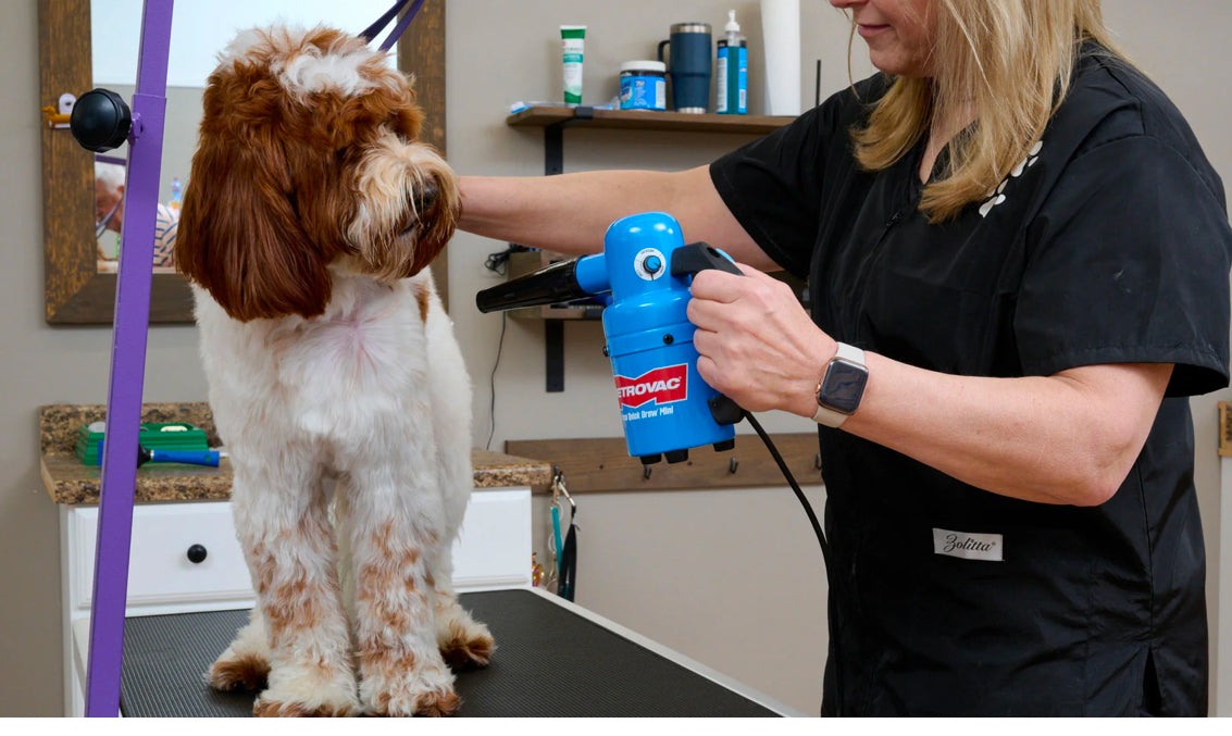 Metrovac Air Force Quick Drawn Mini Portable Pet & Dog Grooming Dryer with a picture of a dog being dried off with a dog blow dryer