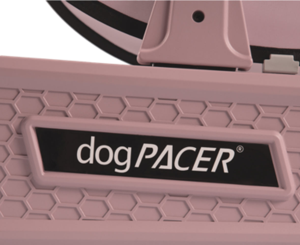 DogPacer SE Dog Treadmill