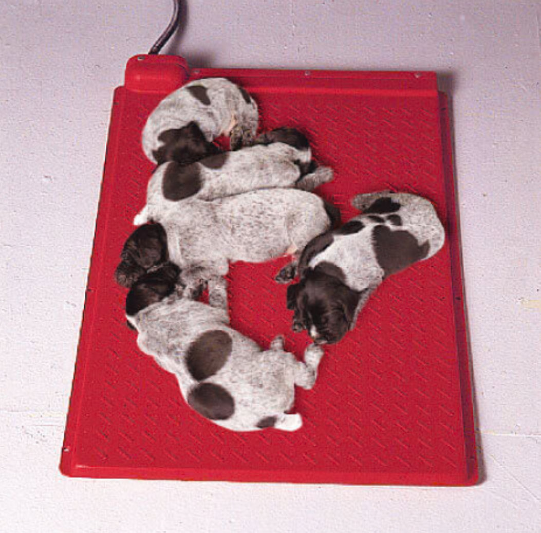 Kane Whelping Box Heater