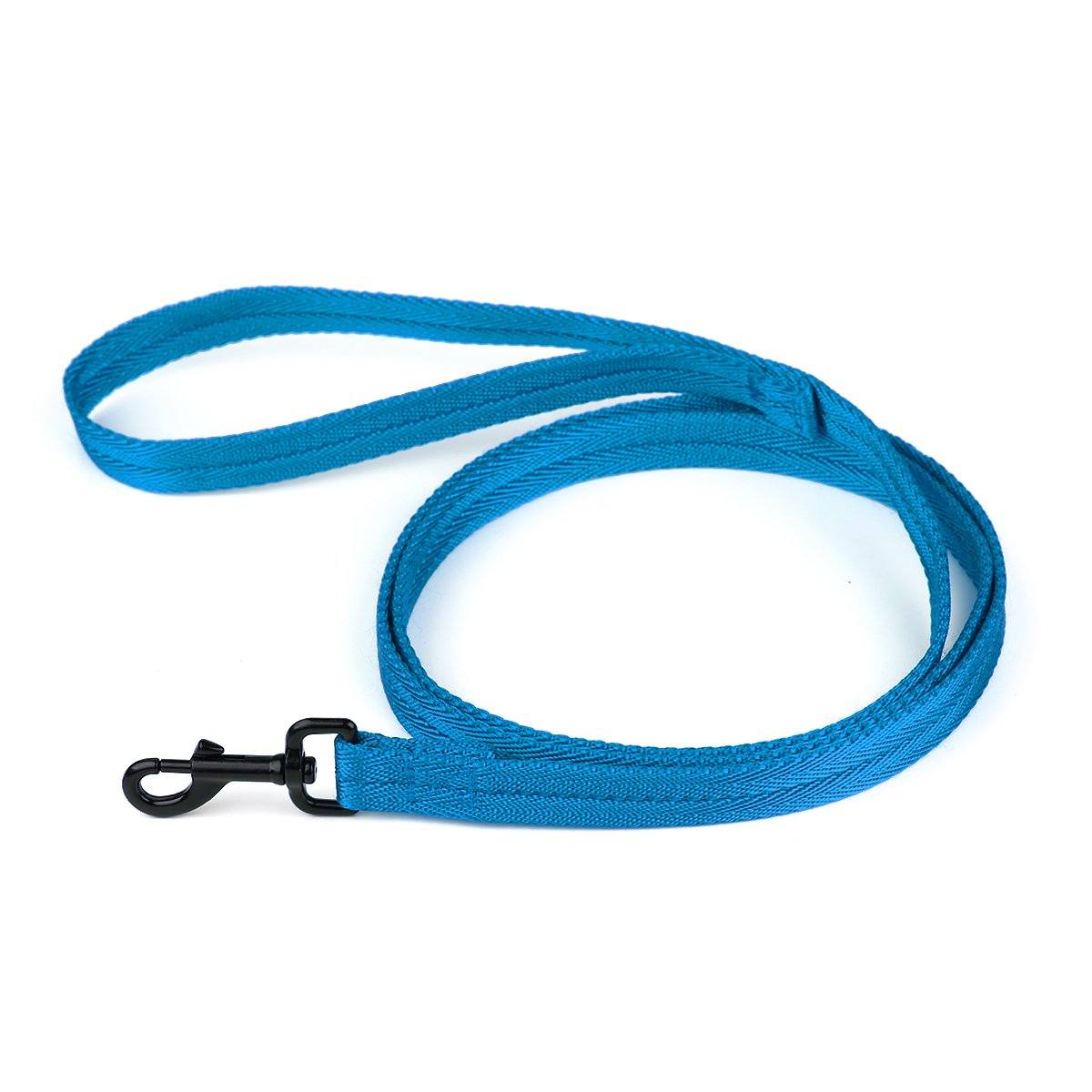 Cyan blue nylon dog leash with black snap hook, flat design