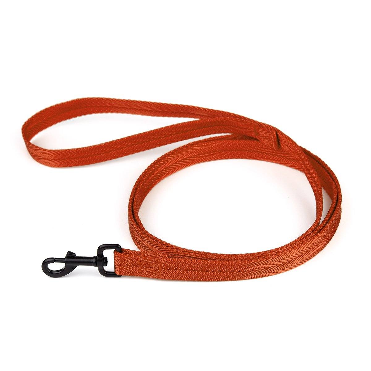 Orange nylon dog leash with black snap hook, flat design