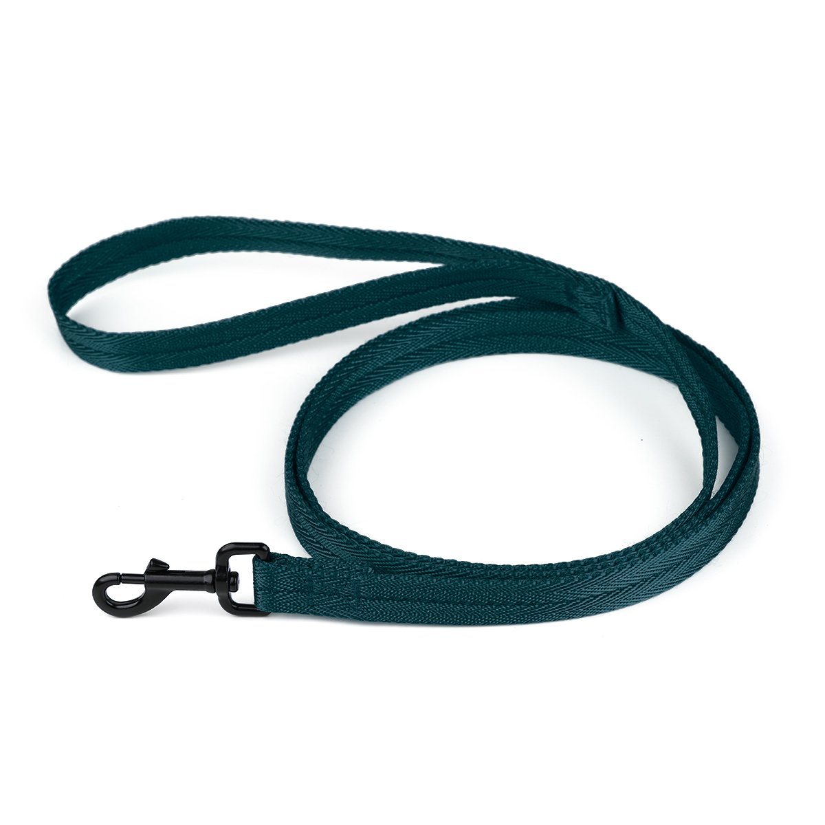 Teal nylon dog leash with black snap hook, flat design