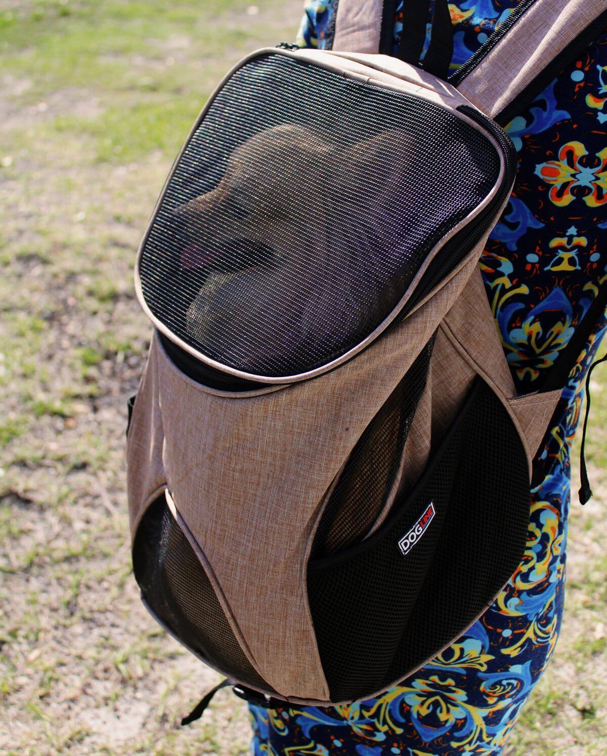 Pet carrier backpack with small dog inside, head sticking out for comfortable and hands-free travel