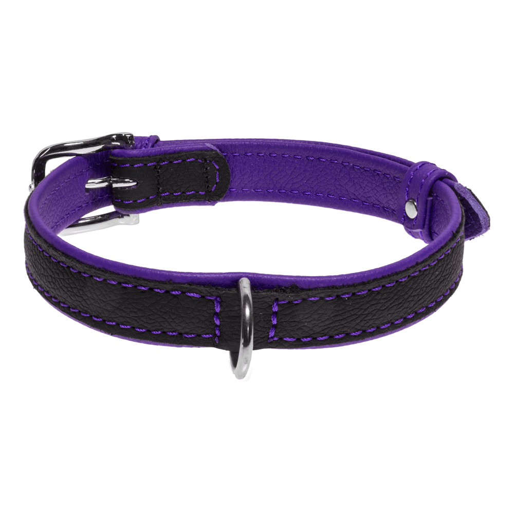 A picture of Soft leather dual-color flat dog collar with durable metal buckle with a white background