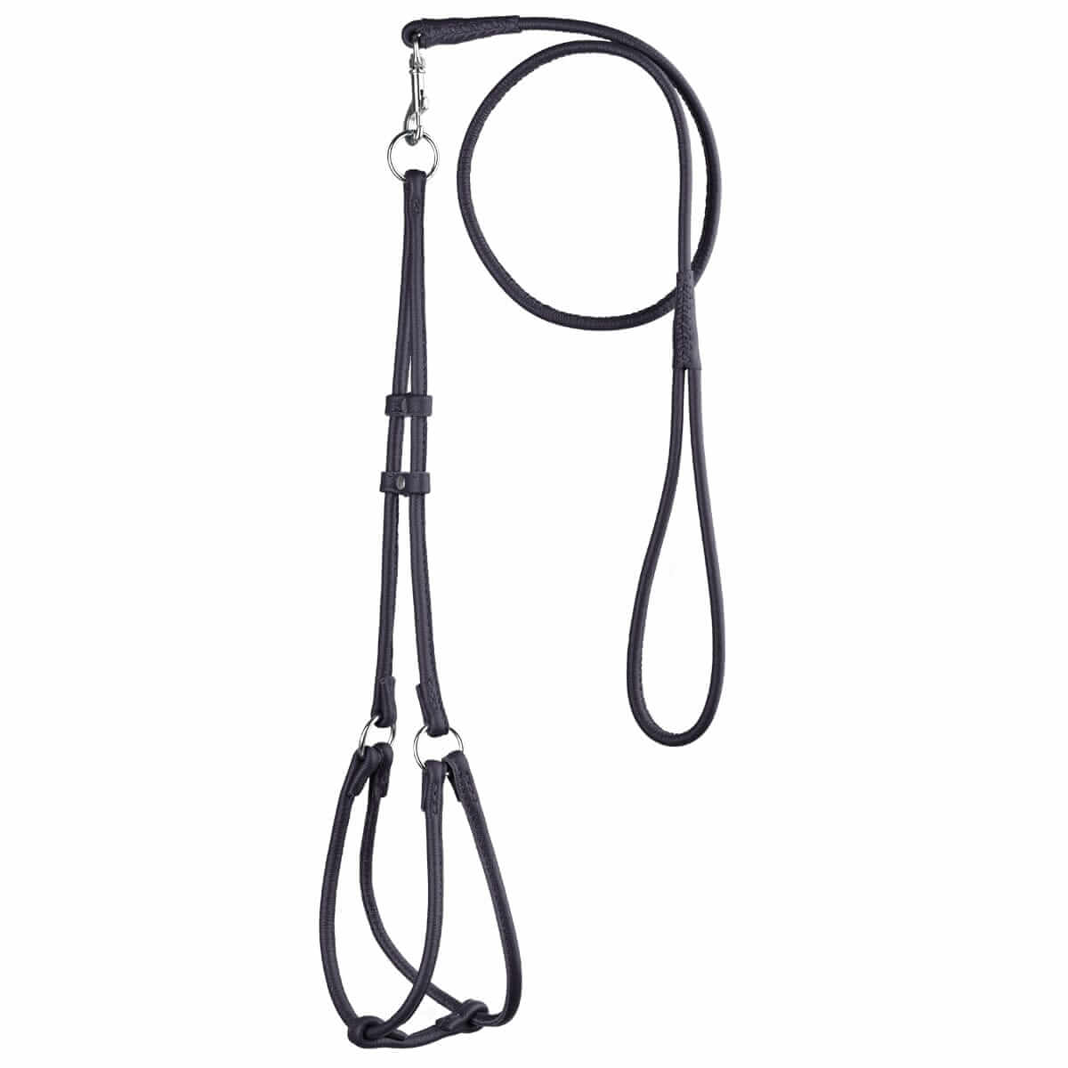 Soft leather round step-in dog harness with matching round leather lead, comfortable and secure walking set for dogs