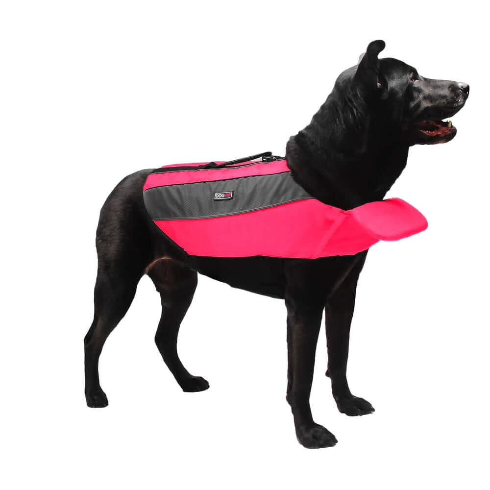dog wearing a Dog life vest flotation device with adjustable straps and buoyant design for water safety