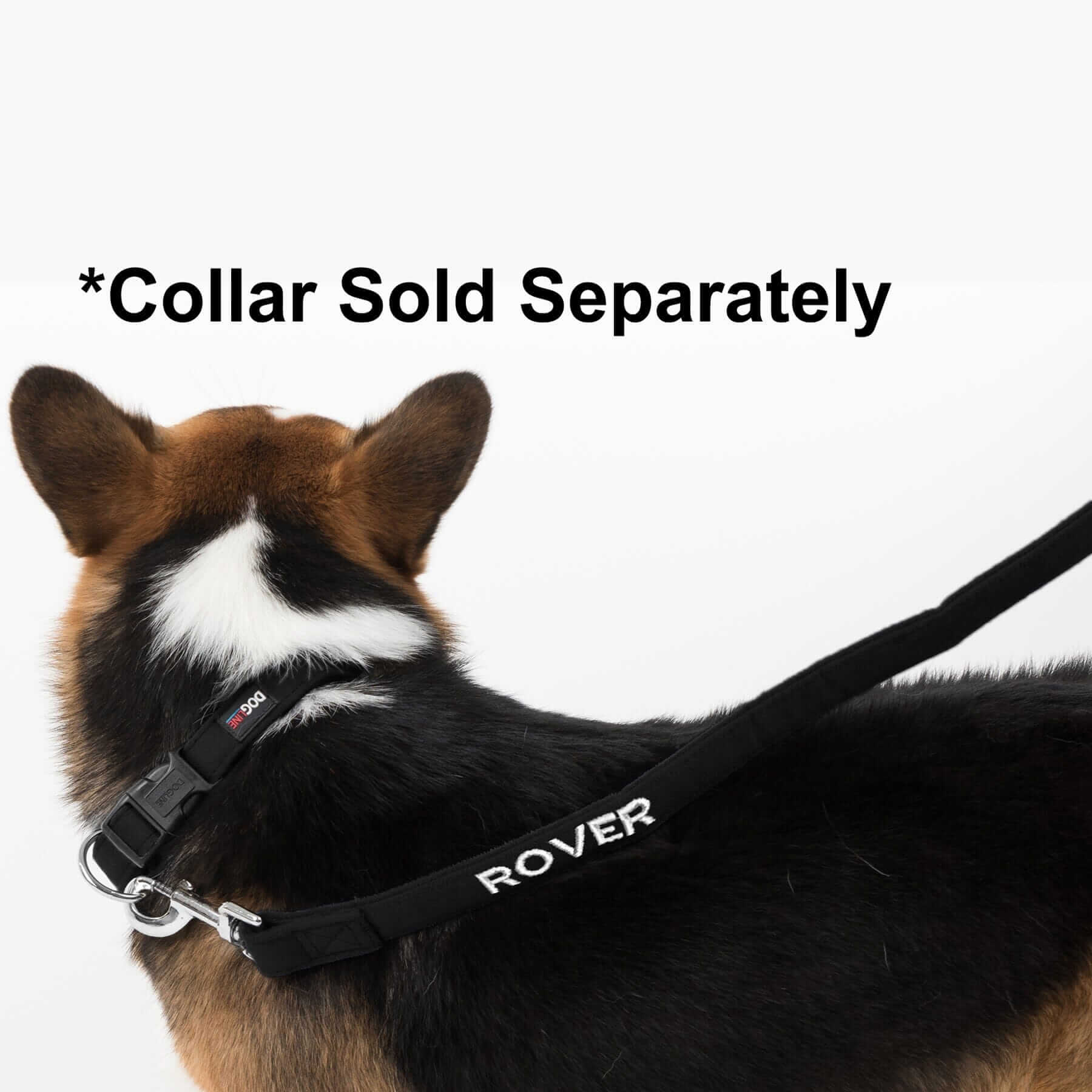 Comfort microfiber flat dog leash with soft padded grip and durable metal clasp for secure, everyday walks