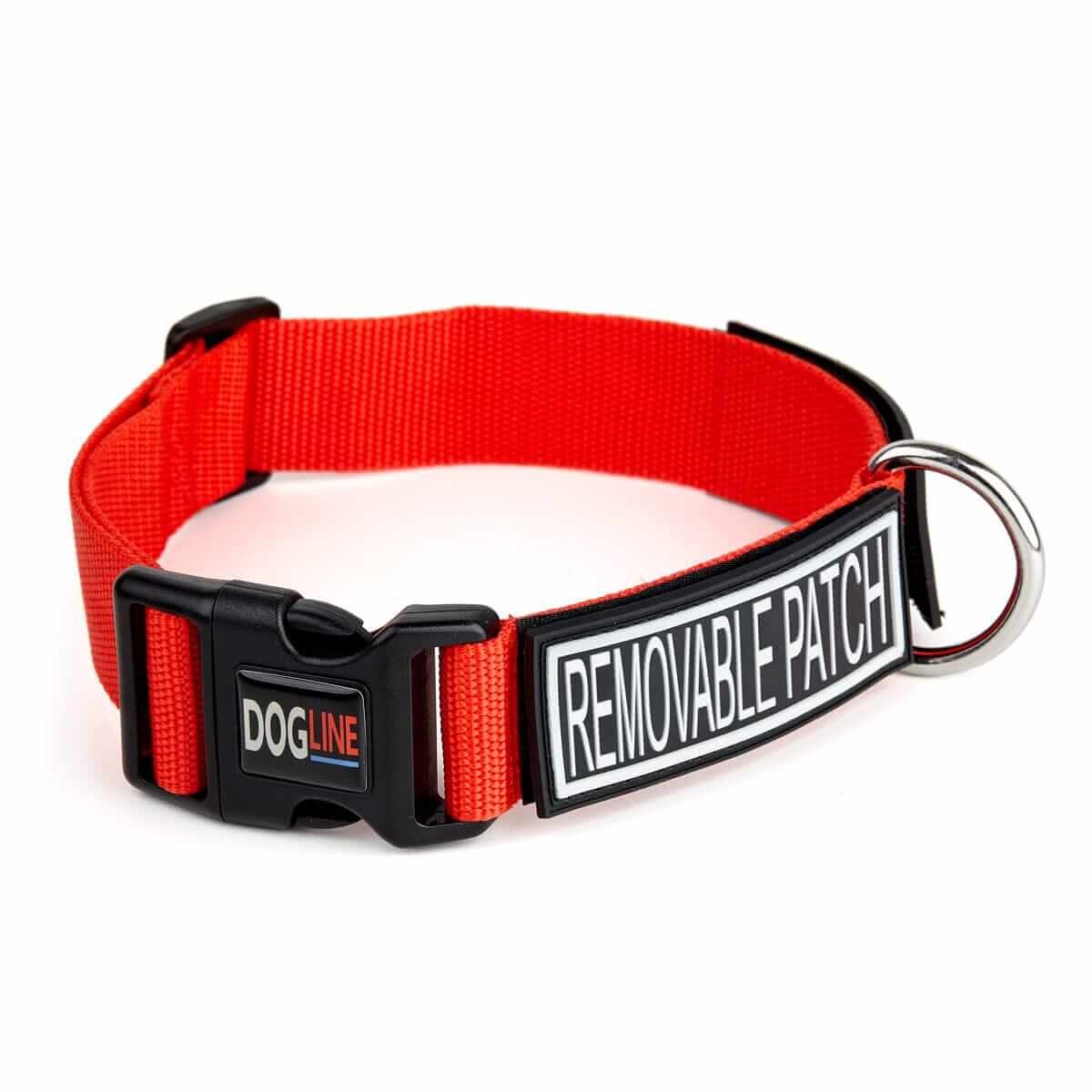 Red nylon dog collar with quick release buckle and hook and loop fastener for patch attachment