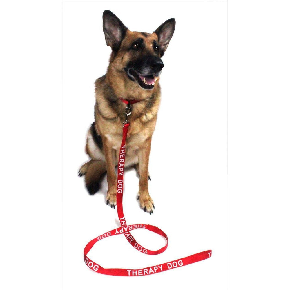 a dog wearing a Reflective nylon dog leash with high-visibility stitching and durable hardware for safe nighttime walks"