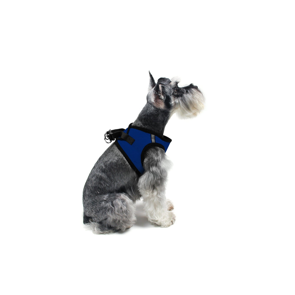 A dog wearing York mesh dog harness with breathable padding and adjustable fit for small to medium breeds