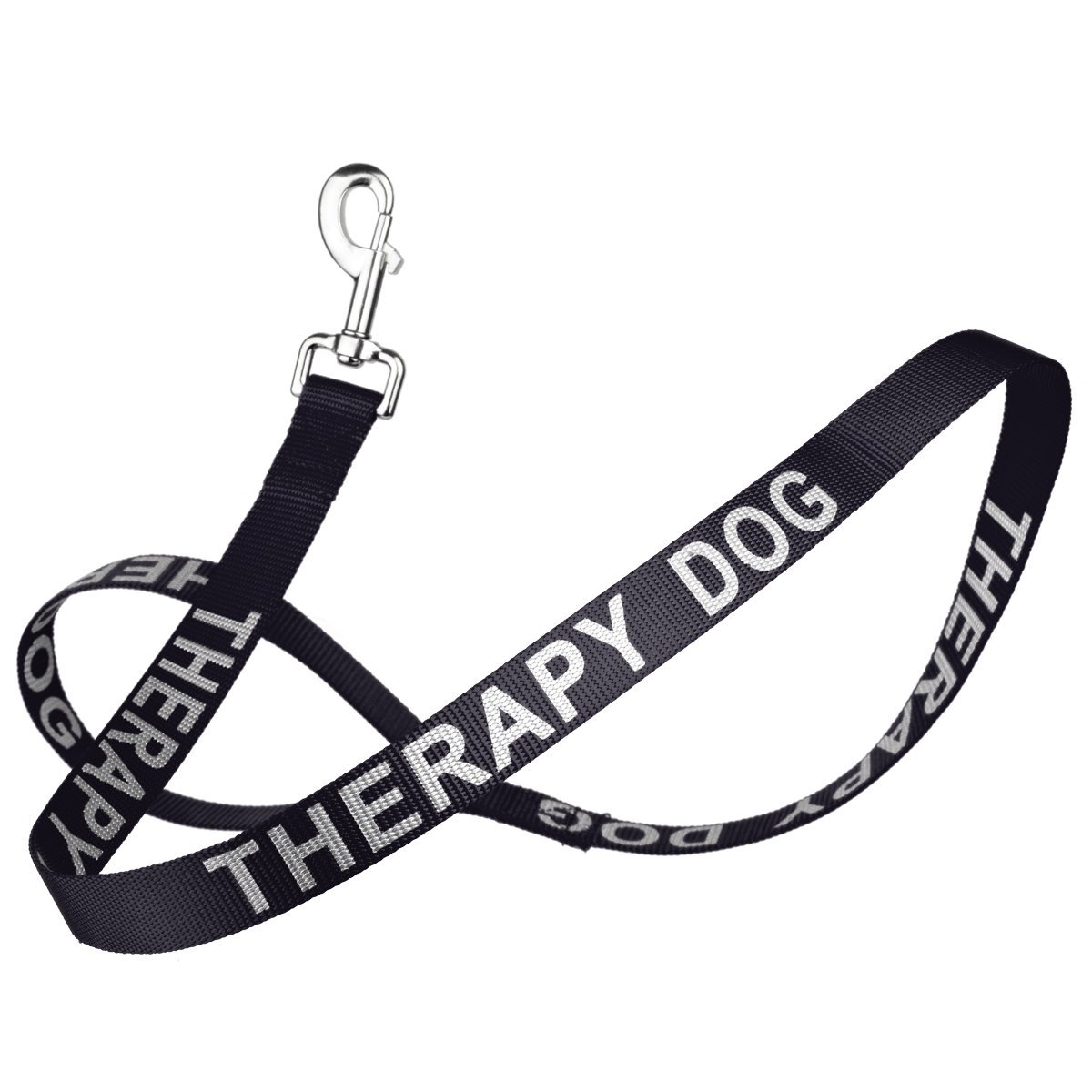 Reflective nylon dog leash with high-visibility stitching and durable hardware for safe nighttime walks"