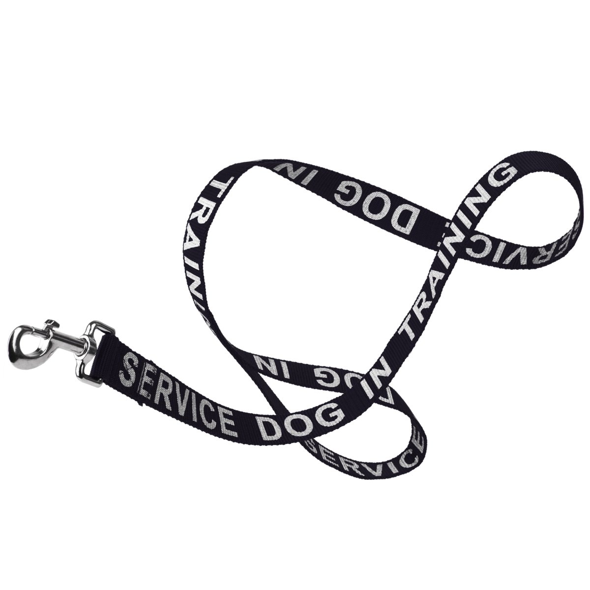 Reflective nylon dog leash with high-visibility stitching and durable hardware for safe nighttime walks"