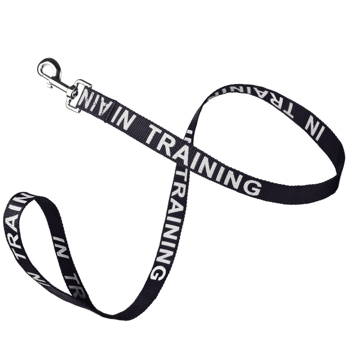 Reflective nylon dog leash with high-visibility stitching and durable hardware for safe nighttime walks"