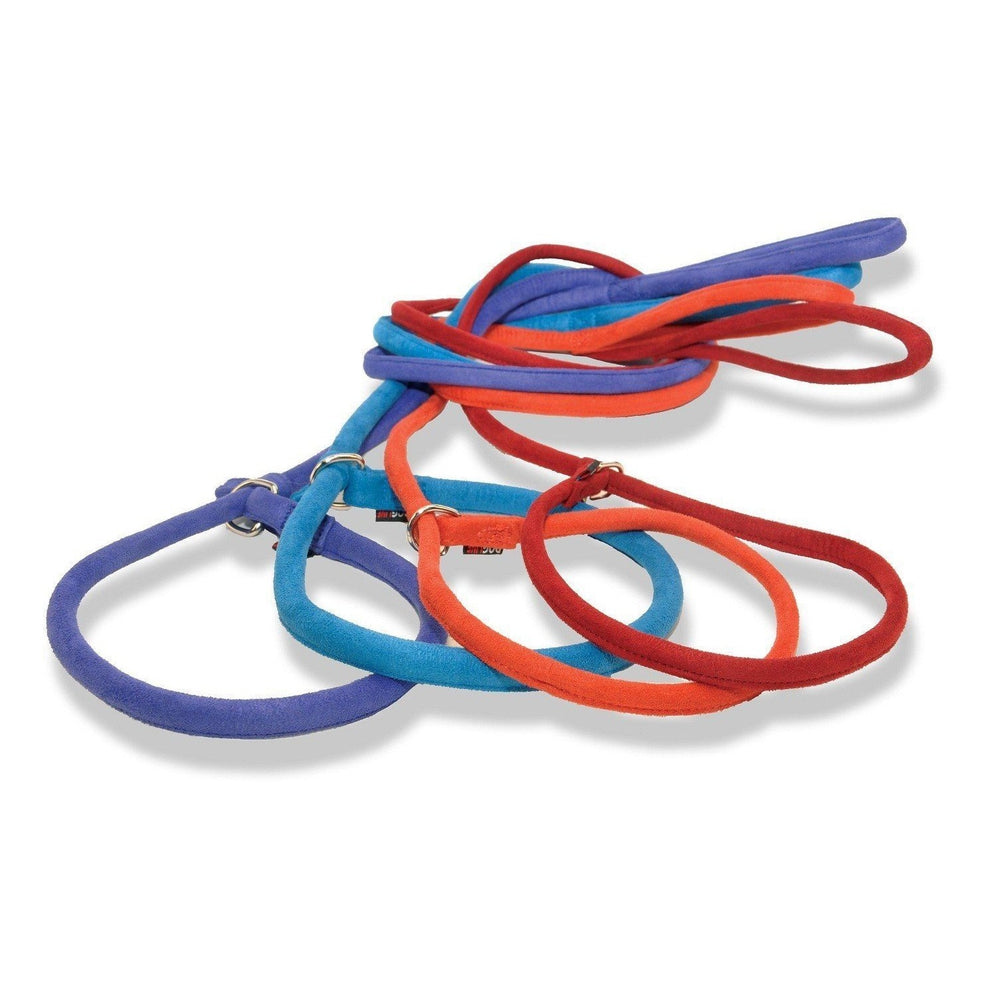 Fabric slip leads for dogs, round design, 8 color options