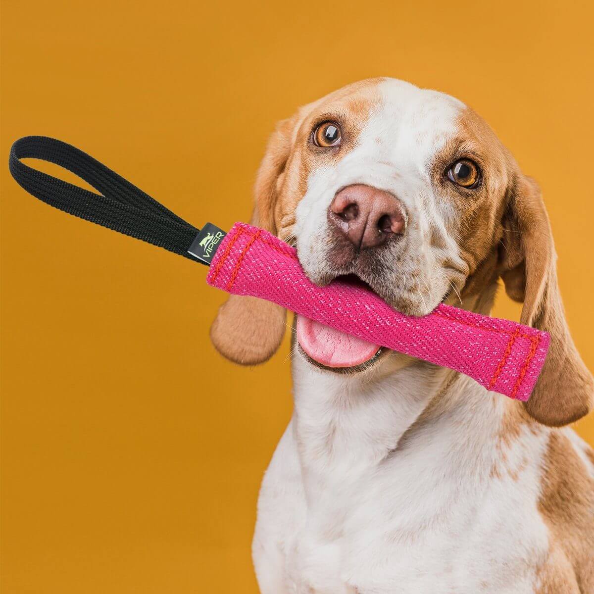 a dog using a Viper French Linen Tug durable dog tug toy made from natural linen fibers for interactive play and chewing