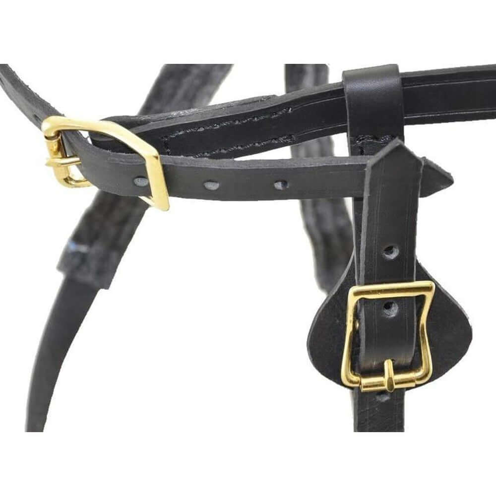 Tactical dog harness designed for service, police, and military dogs