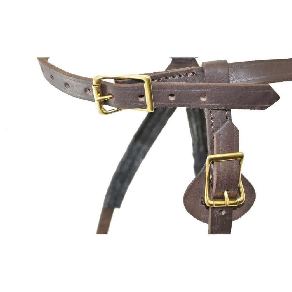 Durable working dog harness with adjustable straps and secure fit