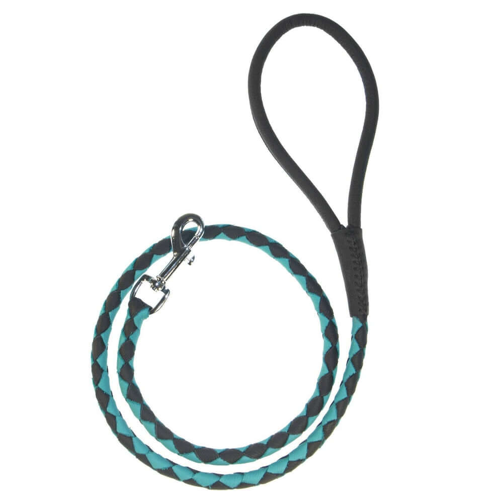 Dual-color braided round leather dog lead made from soft premium leather with reinforced stitching and durable hardware for stylish, comfortable walks