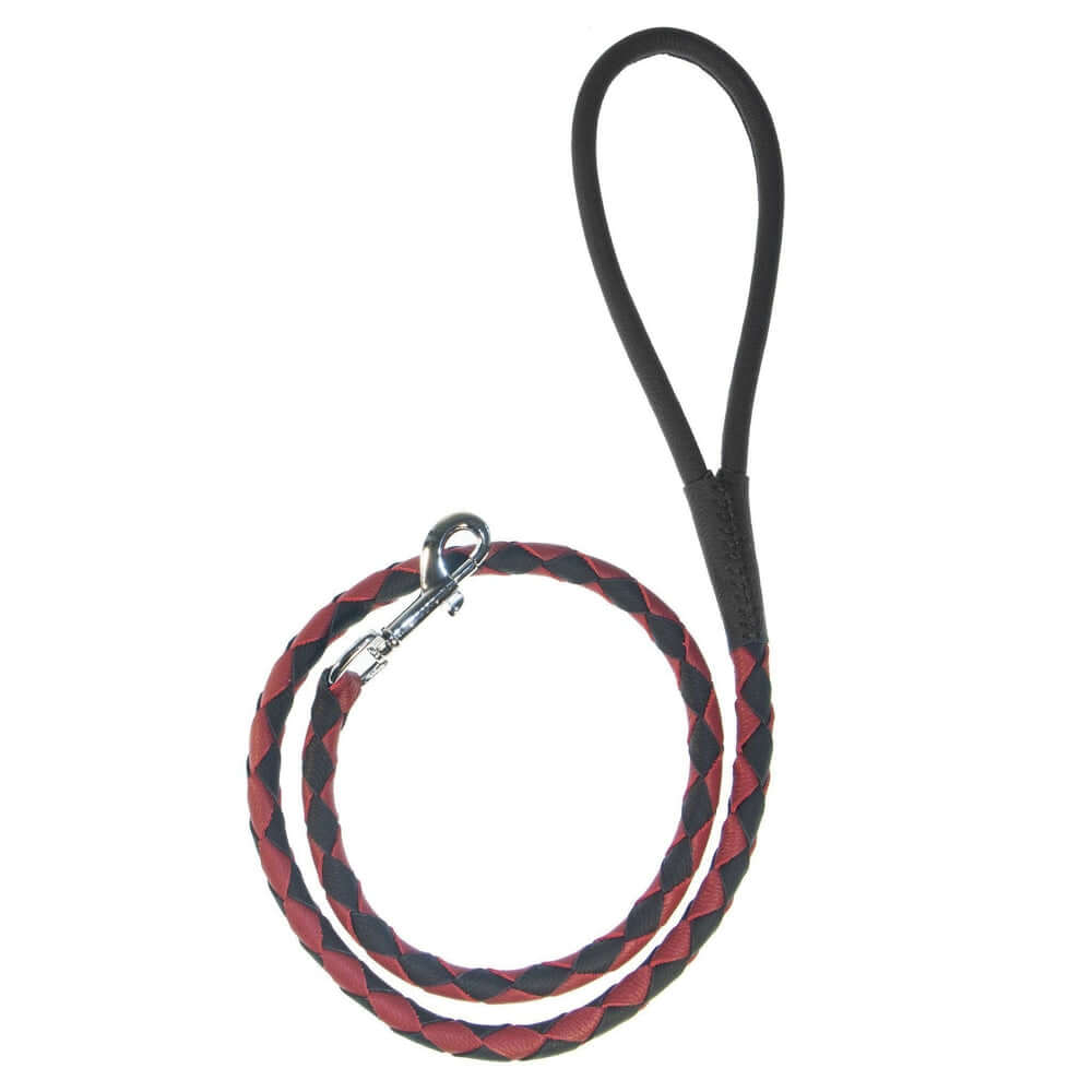 Dual-color braided round leather dog lead made from soft premium leather with reinforced stitching and durable hardware for stylish, comfortable walks