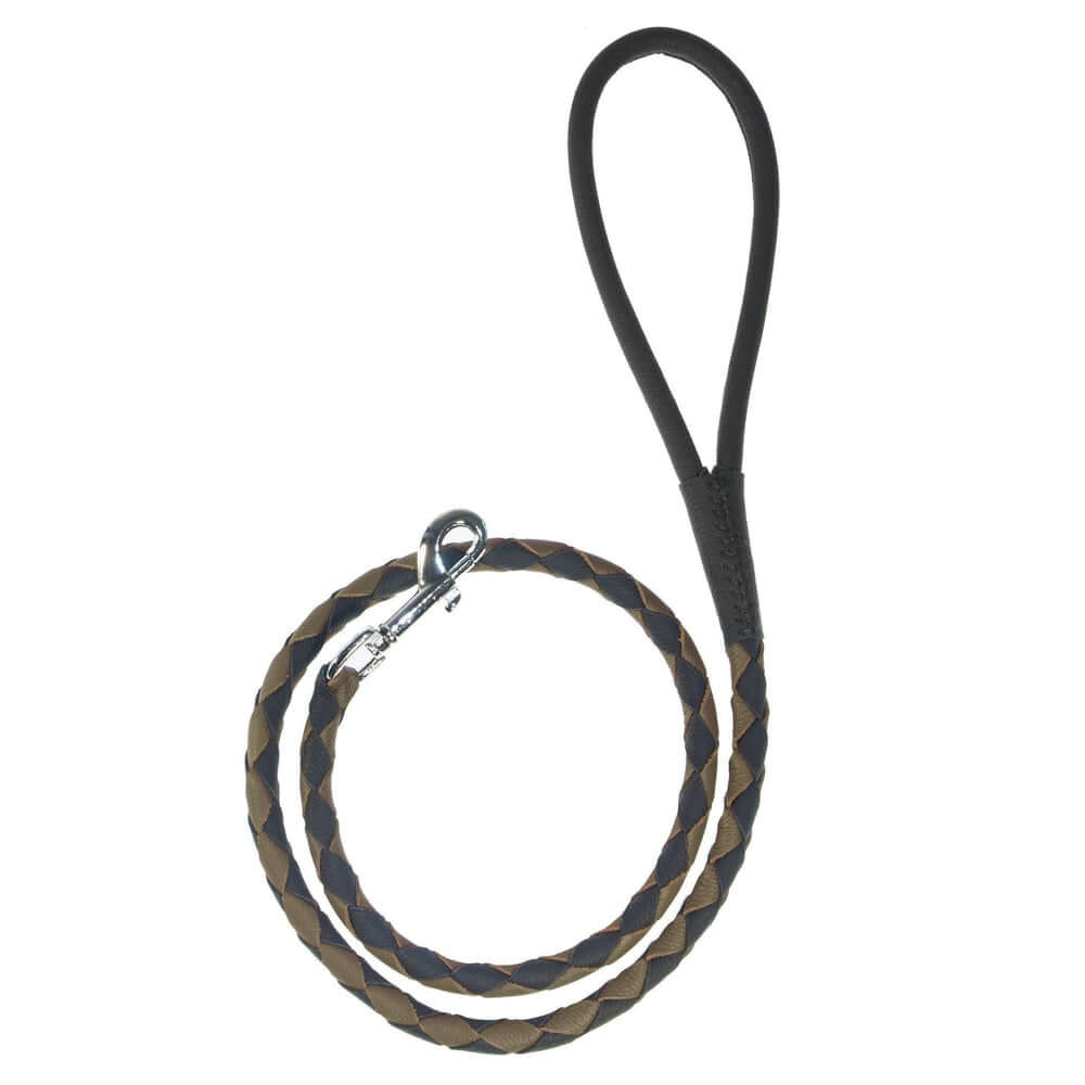 Dual-color braided round leather dog lead made from soft premium leather with reinforced stitching and durable hardware for stylish, comfortable walks