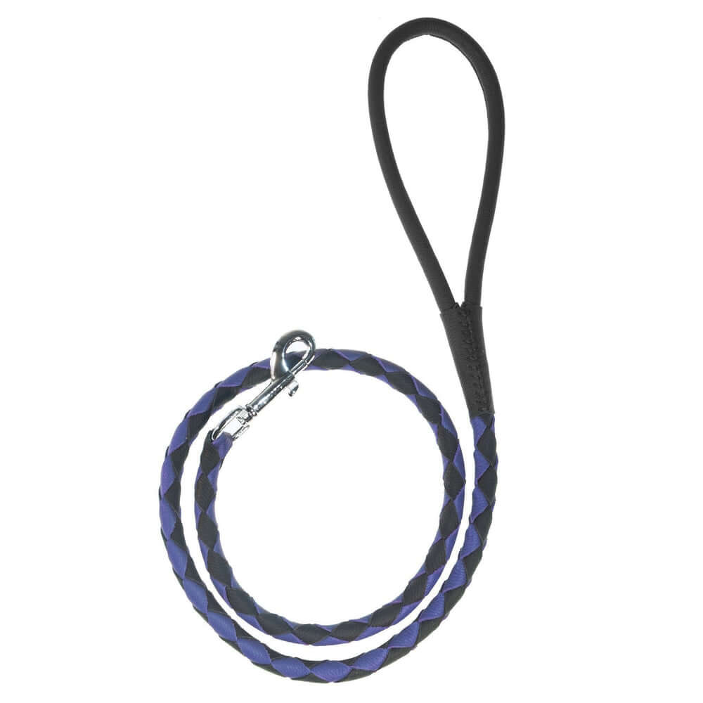 Dual-color braided round leather dog lead made from soft premium leather with reinforced stitching and durable hardware for stylish, comfortable walks