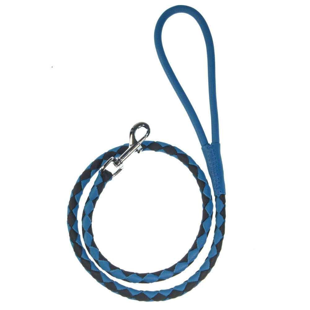 Dual-color braided round leather dog lead made from soft premium leather with reinforced stitching and durable hardware for stylish, comfortable walks