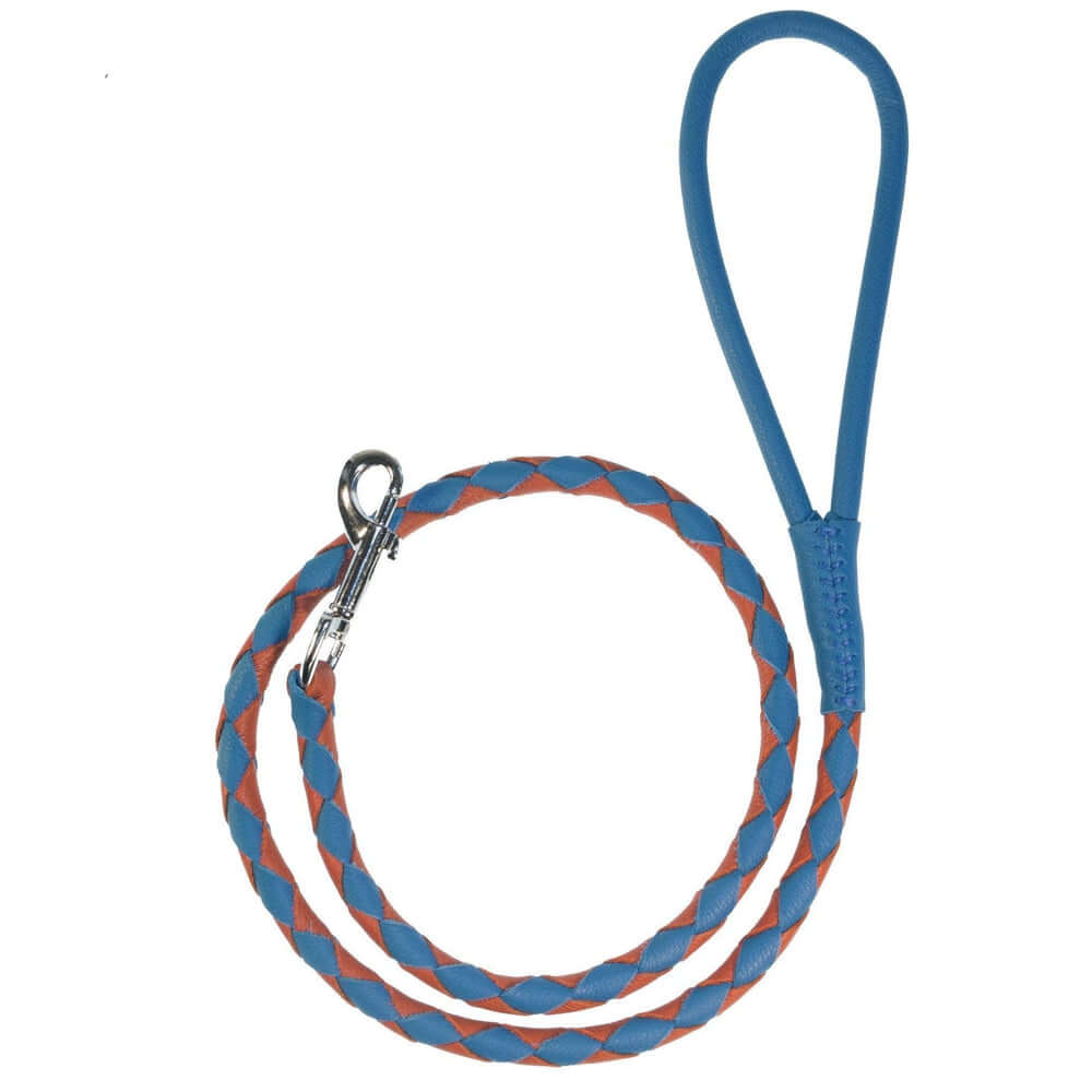 Dual-color braided round leather dog lead made from soft premium leather with reinforced stitching and durable hardware for stylish, comfortable walks