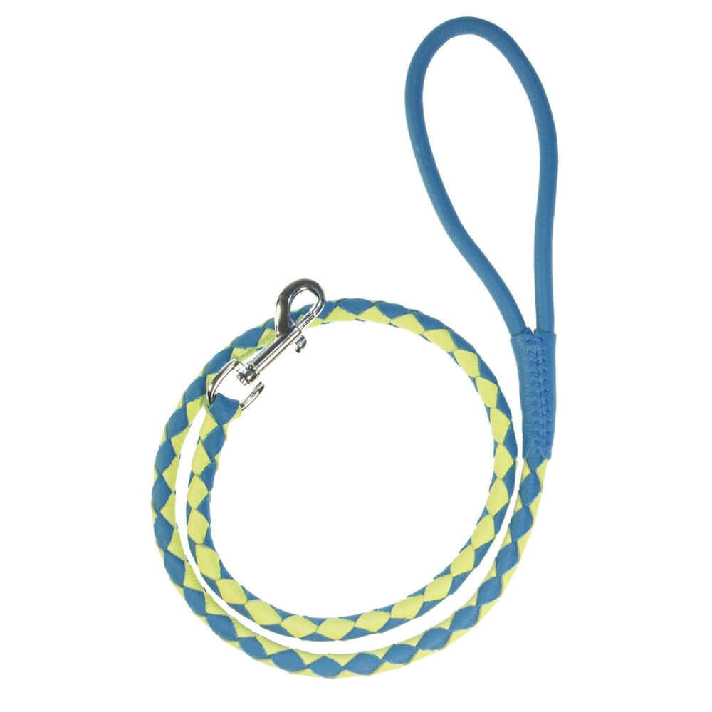 Dual-color braided round leather dog lead made from soft premium leather with reinforced stitching and durable hardware for stylish, comfortable walks