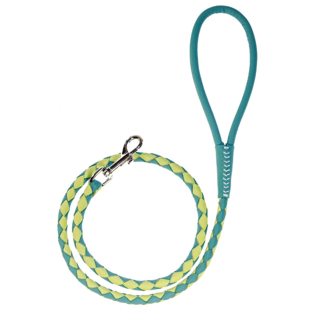 Dual-color braided round leather dog lead made from soft premium leather with reinforced stitching and durable hardware for stylish, comfortable walks