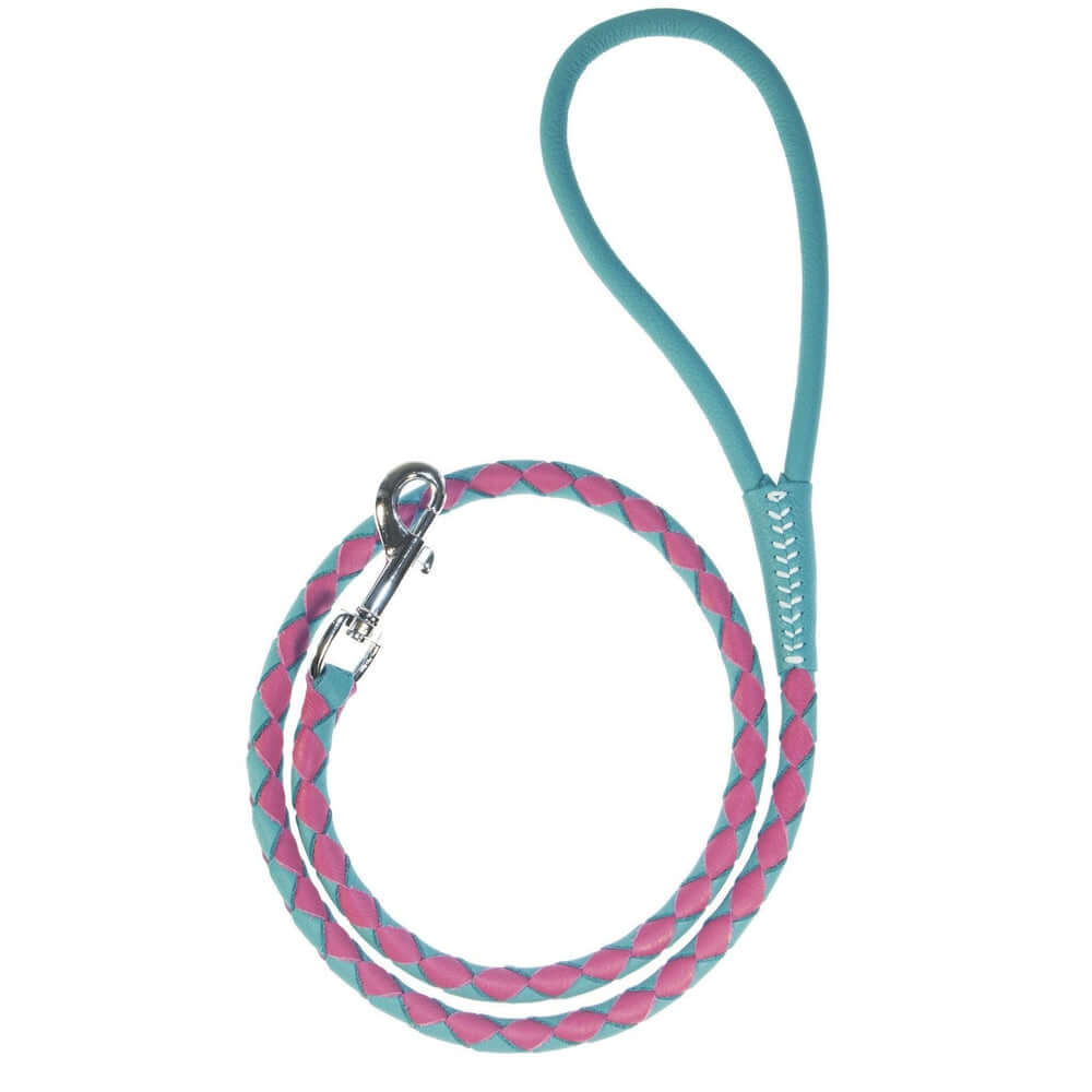 Dual-color braided round leather dog lead made from soft premium leather with reinforced stitching and durable hardware for stylish, comfortable walks
