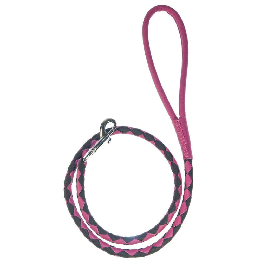 Dual-color braided round leather dog lead made from soft premium leather with reinforced stitching and durable hardware for stylish, comfortable walks
