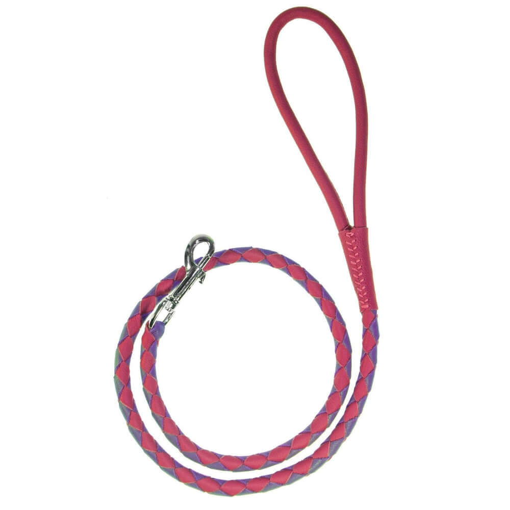 Dual-color braided round leather dog lead made from soft premium leather with reinforced stitching and durable hardware for stylish, comfortable walks