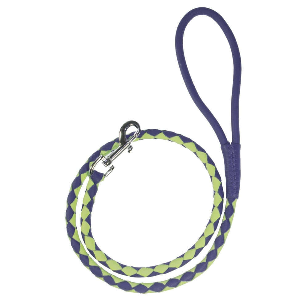 Dual-color braided round leather dog lead made from soft premium leather with reinforced stitching and durable hardware for stylish, comfortable walks