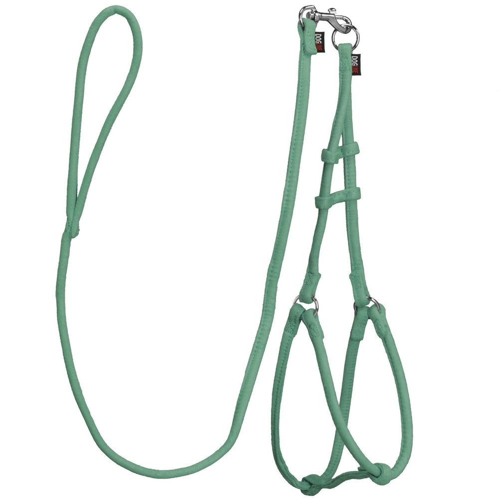 Teal dog harness and dog leash set with metal hardware, made from soft microfiber, round design