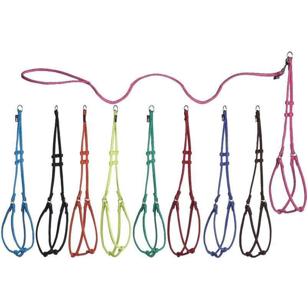 Round fabric step-in harness and leash set for dogs with metal hardware, 9 color options