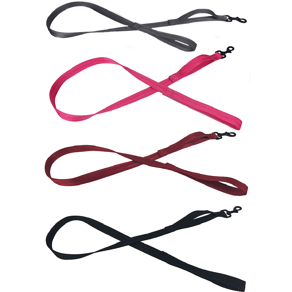 Durable nylon flat dog leash with built-in traffic handle – strong, comfortable grip for everyday walks and close control in busy areas