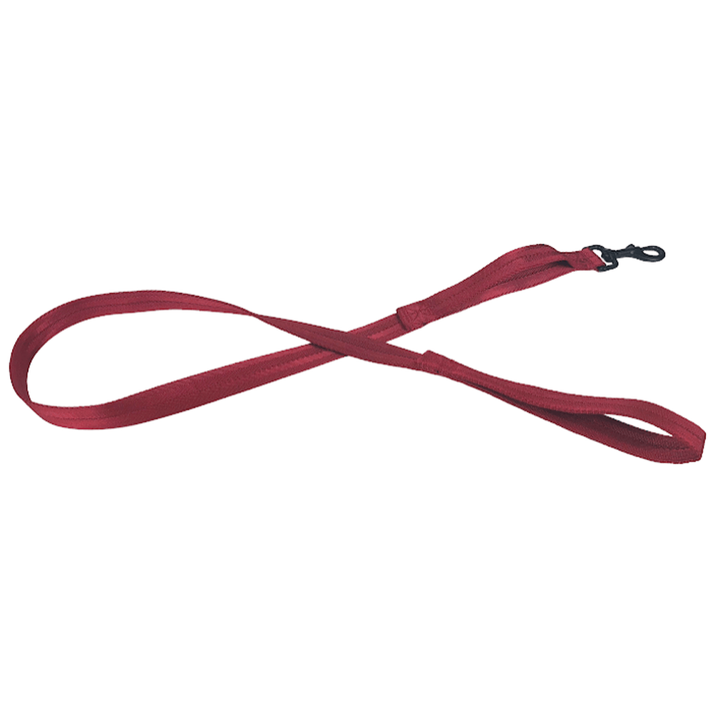 Durable nylon flat dog leash with built-in traffic handle – strong, comfortable grip for everyday walks and close control in busy areas