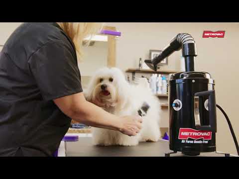 Metrovac Air Force Hands-free Pet & Dog Grooming Dryer, Pet Grooming System, professional hands-free dog dryer with a picture of a dog being dried off with a dog blow dryer