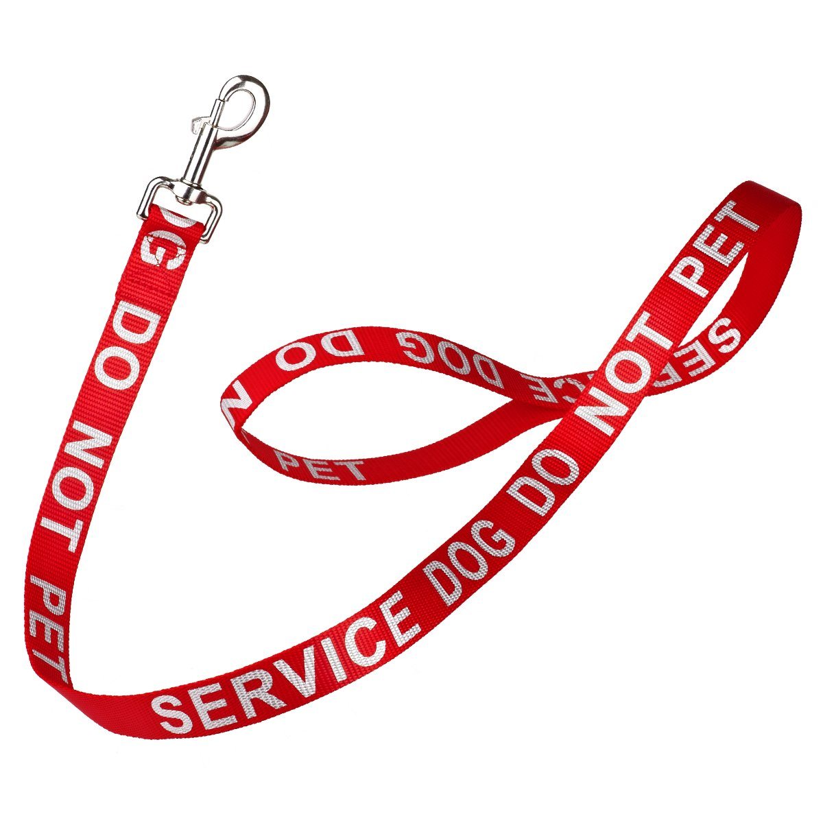Reflective nylon dog leash with high-visibility stitching and durable hardware for safe nighttime walks"
