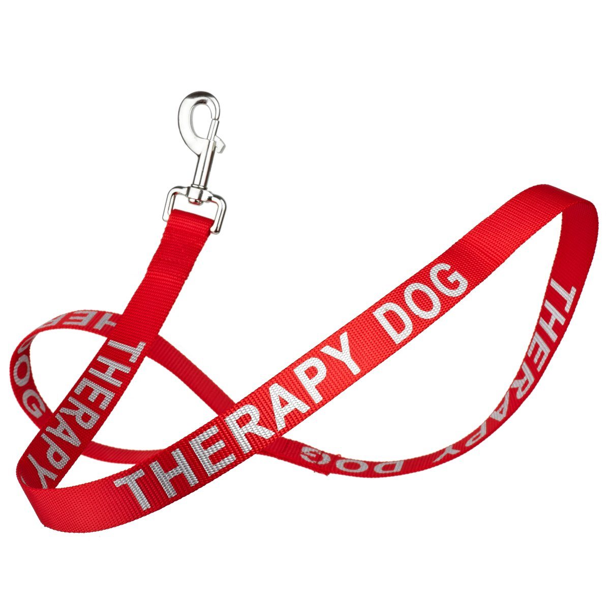 Reflective nylon dog leash with high-visibility stitching and durable hardware for safe nighttime walks"