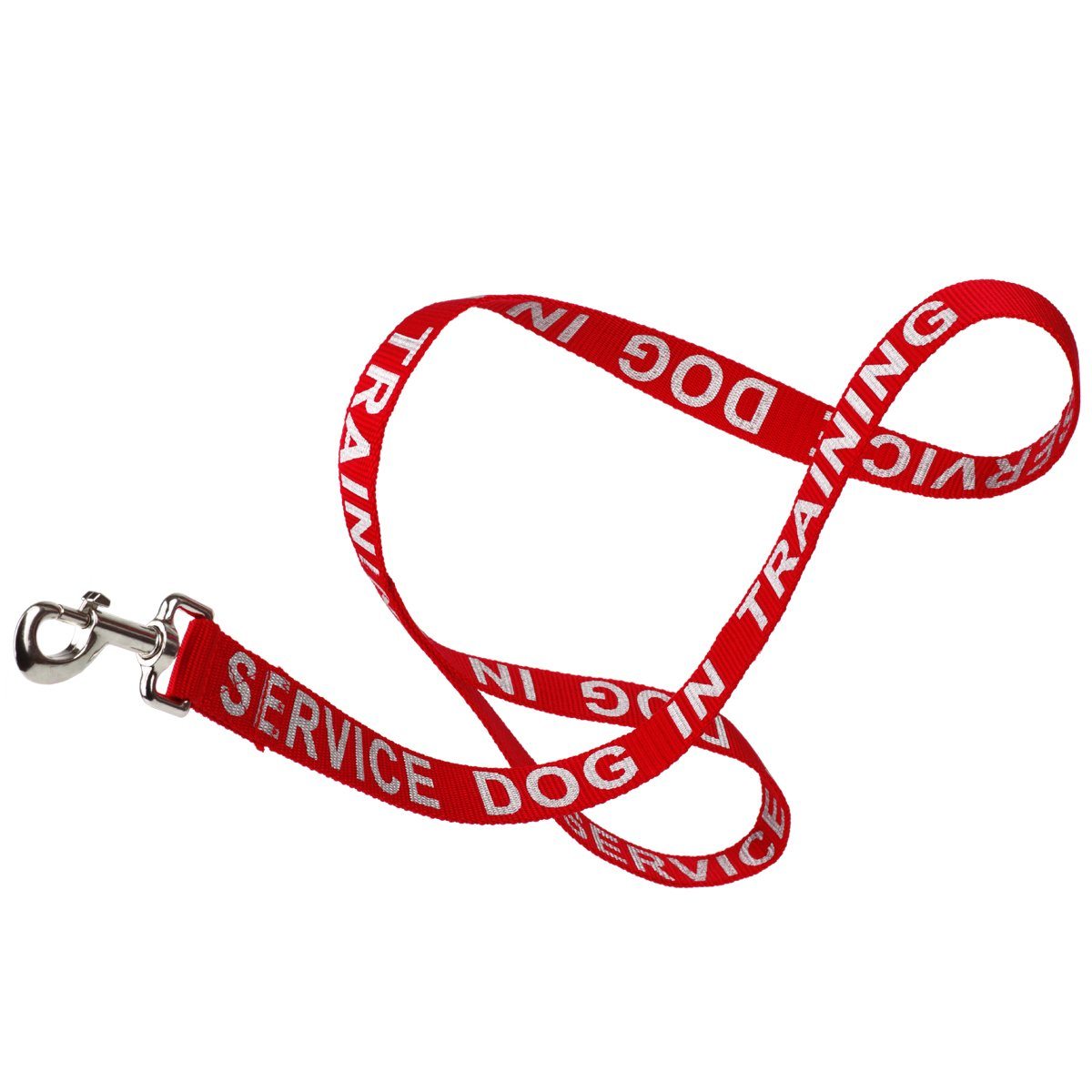 Reflective nylon dog leash with high-visibility stitching and durable hardware for safe nighttime walks"