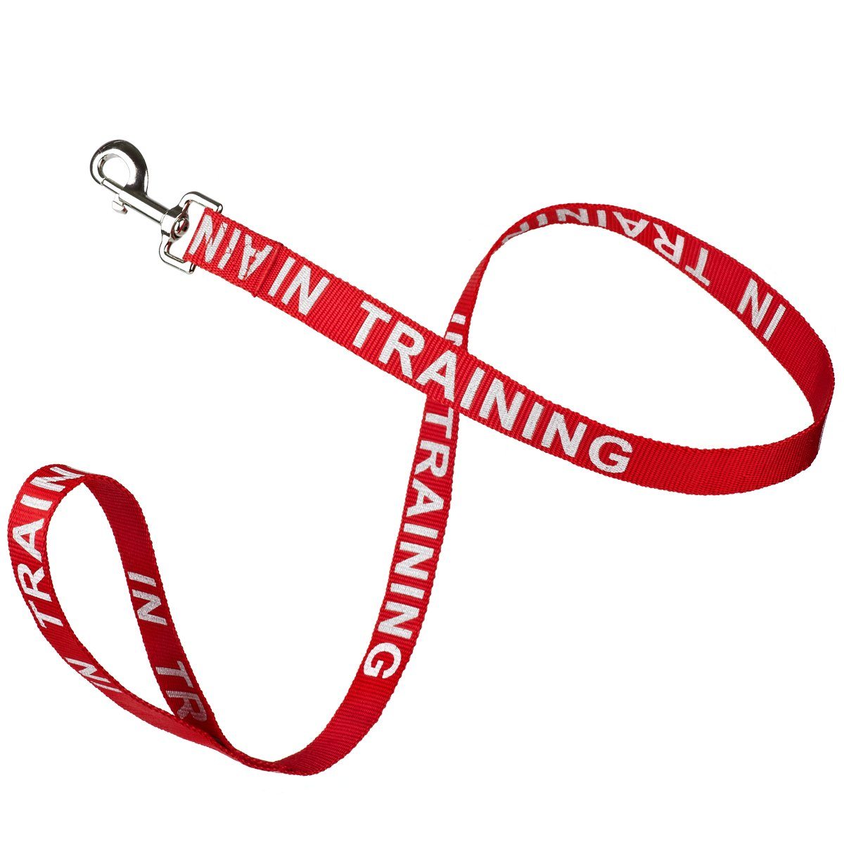 Reflective nylon dog leash with high-visibility stitching and durable hardware for safe nighttime walks"