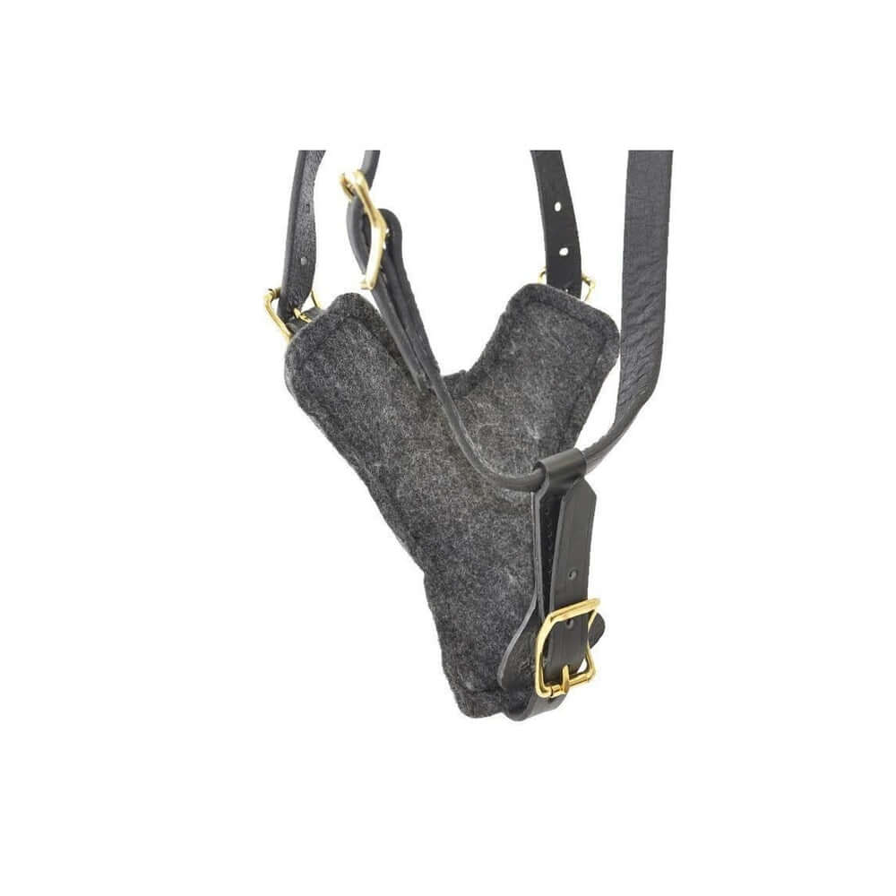 Durable Viper Typhoon leather harness designed for working and protection dogs being displayed on a white background