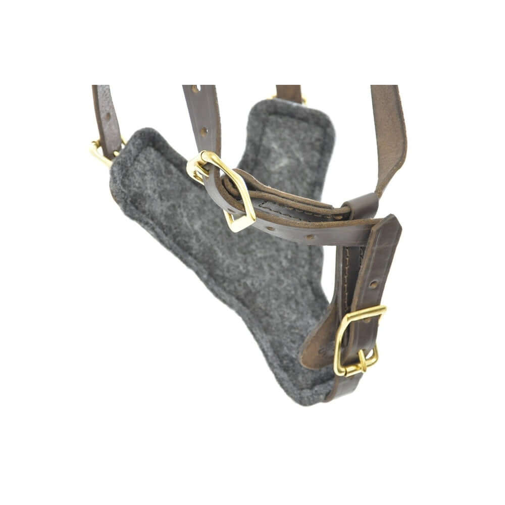 Durable Viper Typhoon leather harness designed for working and protection dogs being displayed on a white background