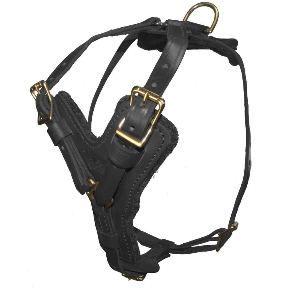 Durable Viper Typhoon leather harness designed for working and protection dogs being displayed on a white background