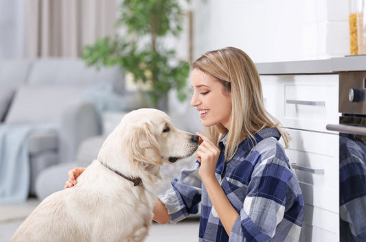 How to Stop Excessive Barking Without Yelling At Your Dog | Dog Training Tips