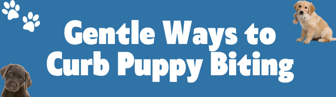 Stop Puppy Biting