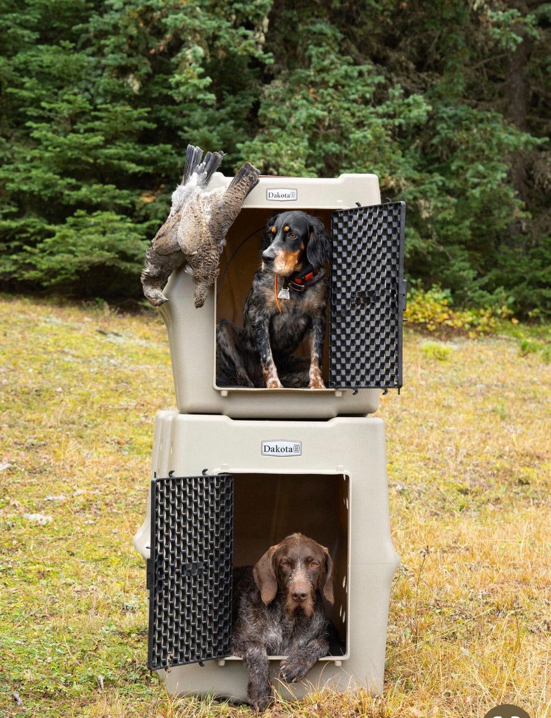 How to Choose the Right Dog Crate for Hunting Trips (Complete Buyer’s Guide)